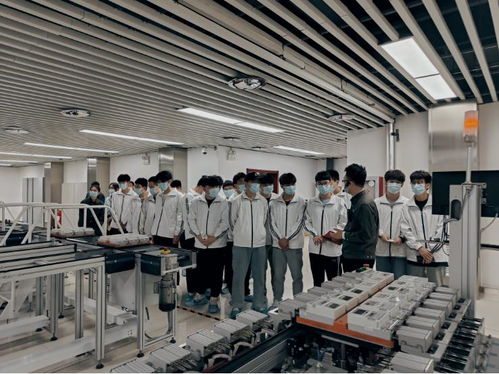 河南網絡技術服務蓬勃發展，助力數字強省建設邁入新階段